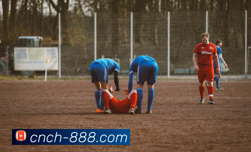 888体育官网APP 高清赛事图